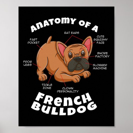 Over een Franse Bulldog Poster (Voorkant)