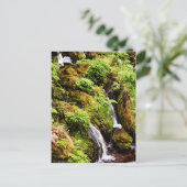 Over en onder briefkaart (Staand voorkant)