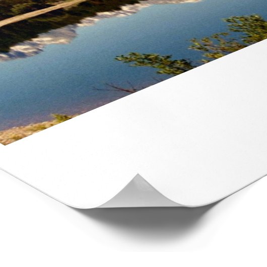 Over en weer in de wilde natuur poster (Hoek)