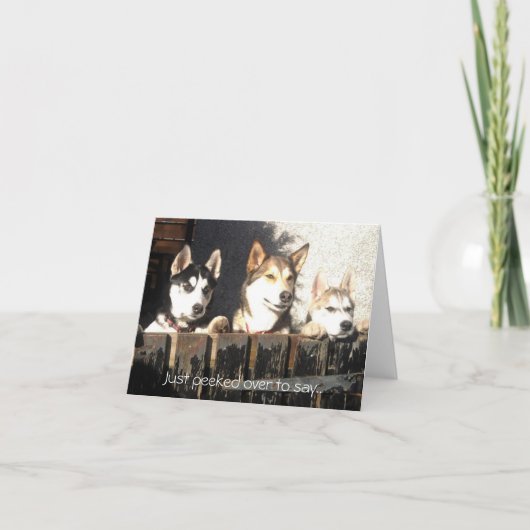 Over enkel gegluurd om te zeggen. kaart (Voorkant)