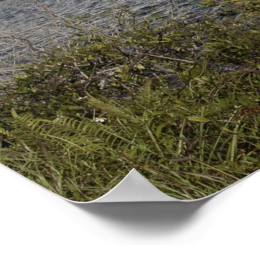 Over het bekken bekeken, Space Shuttle Atlantis Poster (Hoek)