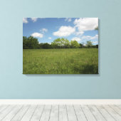 Over het Open Gebied: Uitzicht met brede hoek Canvas Afdruk (Insitu (Houten vloer))