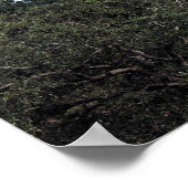 Over het park poster (Hoek)