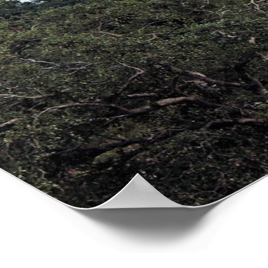 Over het park poster (Hoek)