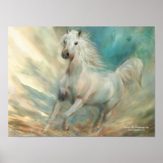 Over het Poster en de afdruk van de windswept Sky- (Voorkant)