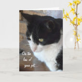 Over het verlies van je huisdier met gedicht. kaart (Gele Bloem)