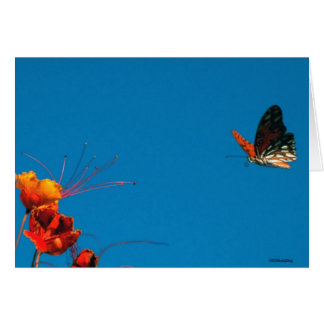 OVER KORTE DEFINITIEVE VERSIE 2 nov. 06 3