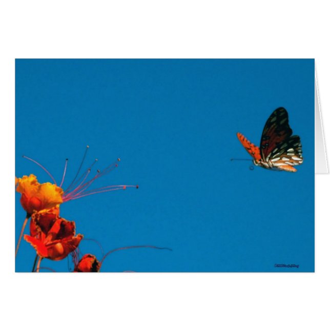 OVER KORTE DEFINITIEVE VERSIE 2 nov. 06 3 (Voorkant Horizontaal)