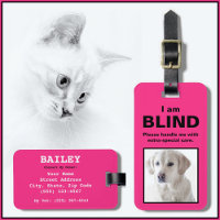 [Over mijn hond] blind dove dog krat krat