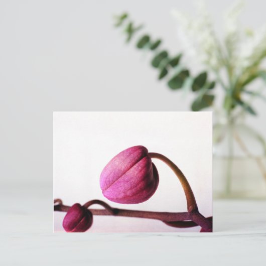 Over naar Bloom Briefkaart (Staand voorkant)