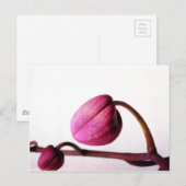 Over naar Bloom Briefkaart (Voorkant / Achterkant)