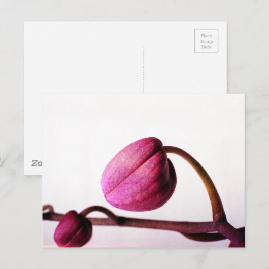 Over naar Bloom Briefkaart (Voorkant / Achterkant)