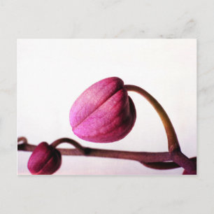 Over naar Bloom Briefkaart