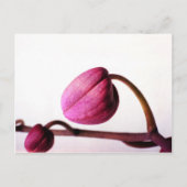 Over naar Bloom Briefkaart (Voorkant)