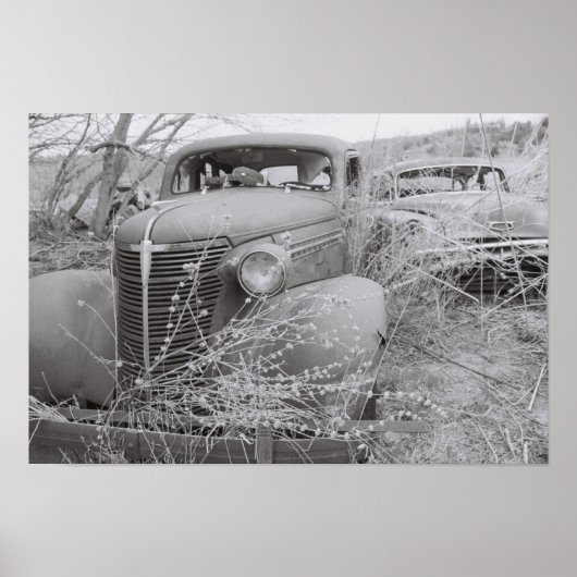 over poster (Voorkant)