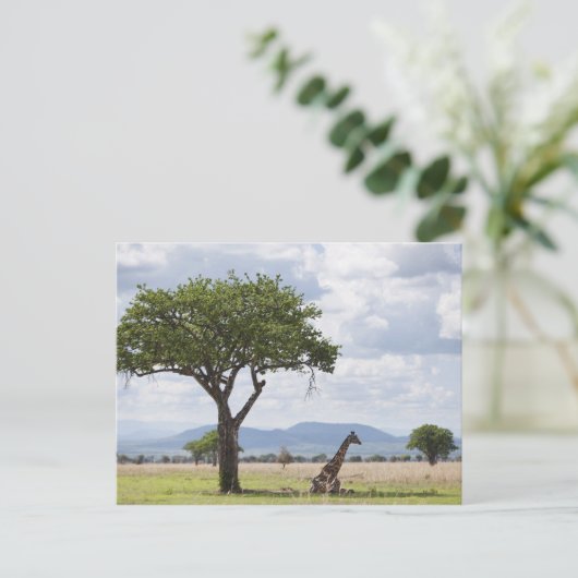 over safari in het Nationaal Park Mikumi in Tanzan Briefkaart (Staand voorkant)