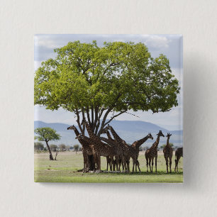 over safari in het Nationaal Park Mikumi in Tanzan Vierkante Button 5,1 Cm