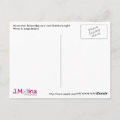 OVER TAMPA BAY. BRIEFKAART (Achterkant)