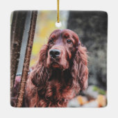 Over The Rainbow Bridge Custom Photo Pet Memorial Keramisch Ornament (Achterkant)