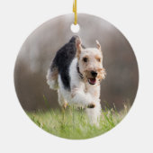 Over The Rainbow Bridge Personalized Pet Memorial Keramisch Ornament (Achterkant)