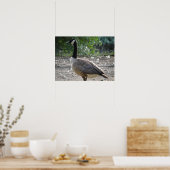 Overal in Canada Goose Print (Keuken)