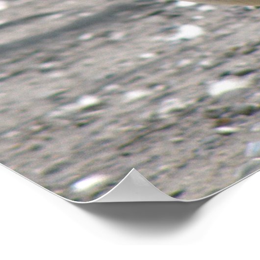 Overal in Canada Goose Print (Hoek)