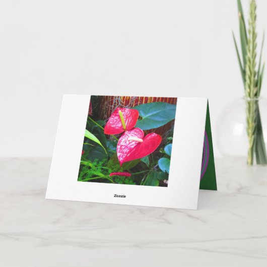 overal in prints Happy Jubileum Wenskaarten Kaart (Achterkant)