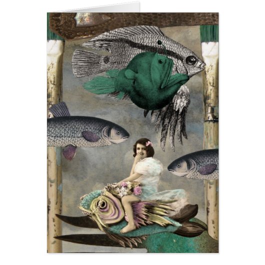 Overal vissen (Voorkant)