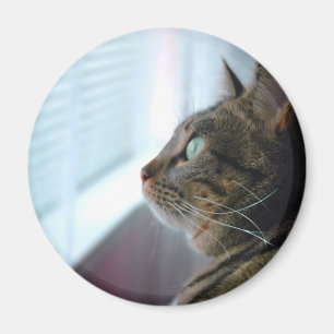 Overal waar het Kat naar buiten toe kijkt Magneet