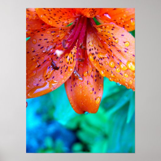 overblijfselen van de zomerregen poster (Voorkant)