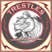 OVERBRENGING VAN TRESTLAND SAN ONOFRE BEACH CALIFO STICKER (Voorkant)