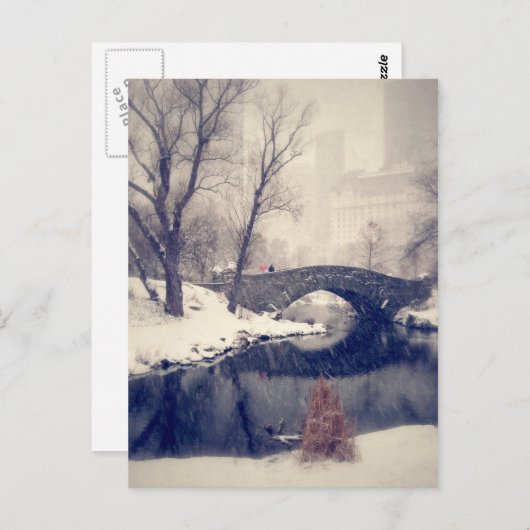 Overbrugging door de sneeuw in het centrale park briefkaart (Voorkant / Achterkant)