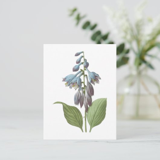 overdag (Hemerocallis caerulea) door Redouté Briefkaart (Staand voorkant)