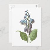overdag (Hemerocallis caerulea) door Redouté Briefkaart (Voorkant / Achterkant)