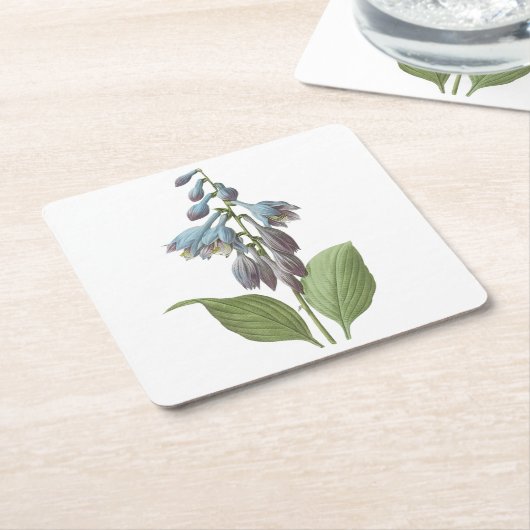 overdag (Hemerocallis caerulea) door Redouté Kartonnen Onderzetters (Schuin)