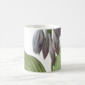 overdag (Hemerocallis caerulea) door Redouté Koffiemok (Center)