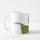 overdag (Hemerocallis caerulea) door Redouté Koffiemok (Links)