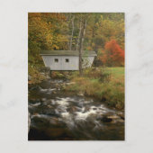 Overdekte Bridge Foliage Kent Herfst State Park Briefkaart (Voorkant)