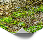 Overdekte Brug - kunstprint _ Lancaster Pa Poster (Hoek)