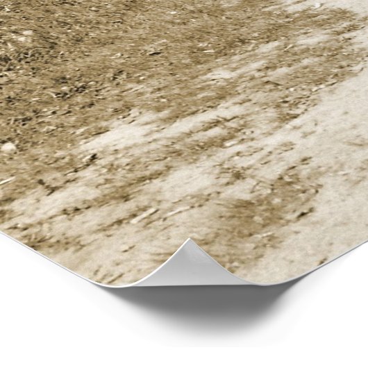 Overdekte Brug Poster (Hoek)