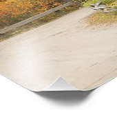 Overdekte brug, Vermont, VS Foto Afdruk (Hoek)