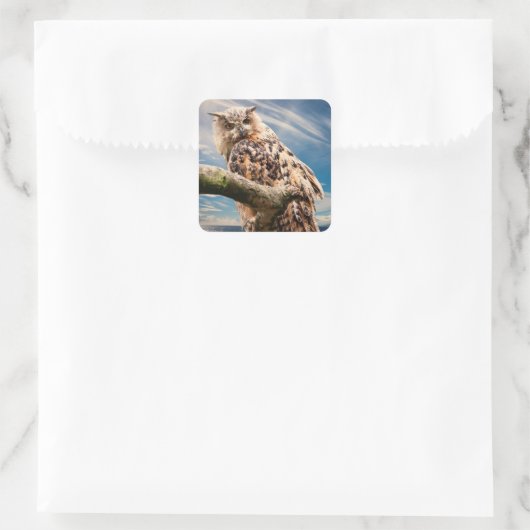 Overdenkende Uil Vierkante Sticker (Tas)
