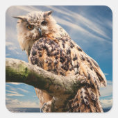 Overdenkende Uil Vierkante Sticker (Voorkant)