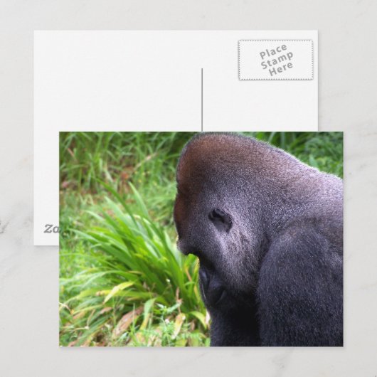 Overdenking Briefkaart (Voorkant / Achterkant)