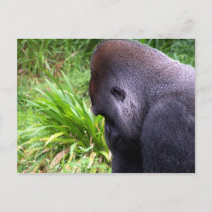 Overdenking Briefkaart