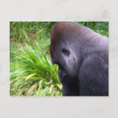 Overdenking Briefkaart (Voorkant)