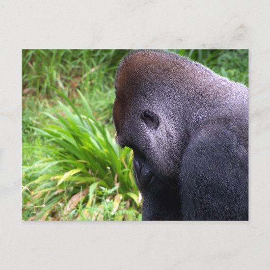 Overdenking Briefkaart (Voorkant)