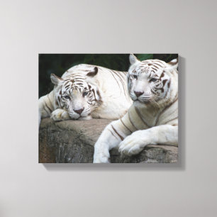 Overdenking Canvas Afdruk