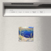 overdracht magneet (Insitu (Vaatwasser))