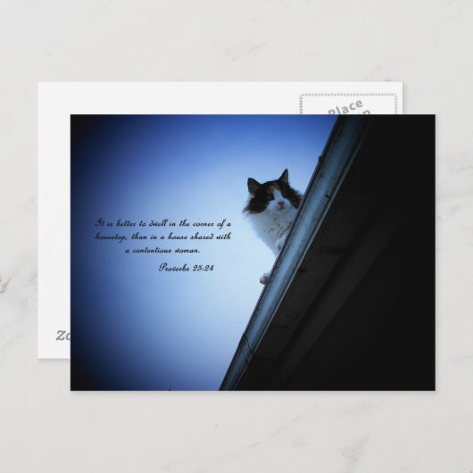 Overdrachten 25 24 briefkaart (Voorkant / Achterkant)